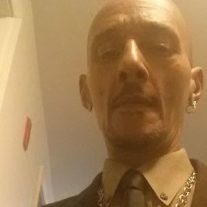 Meet your Posher, Archie